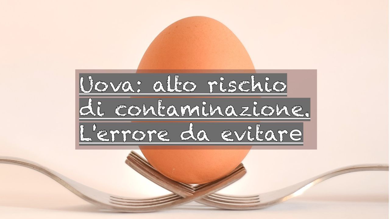 rischio contaminazione uova