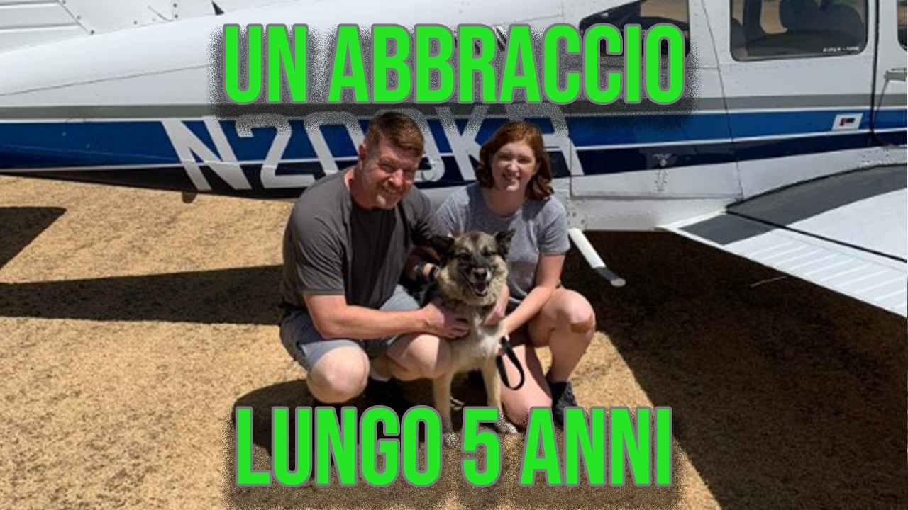 padroni ritrovano cane rubato dopo 5 anni