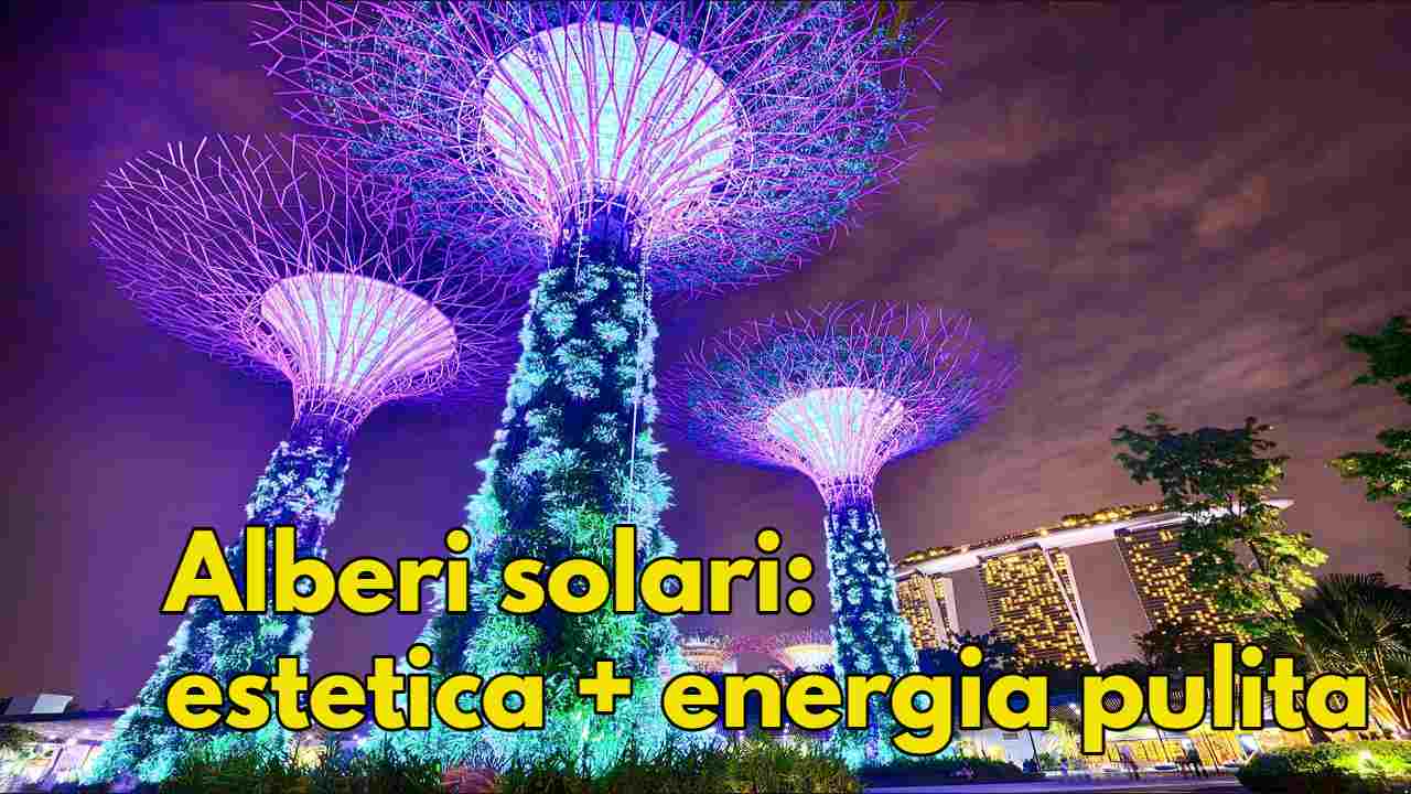 alberi solari giardini energia