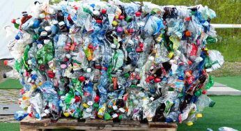 Bottiglie di plastica trasformate in buoni spesa: basta fare in questo modo