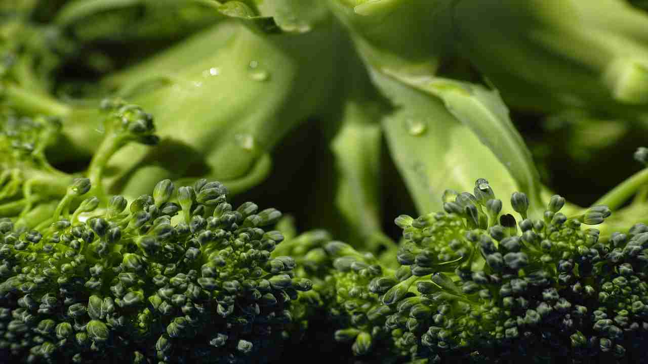 piantare cavoli broccoli