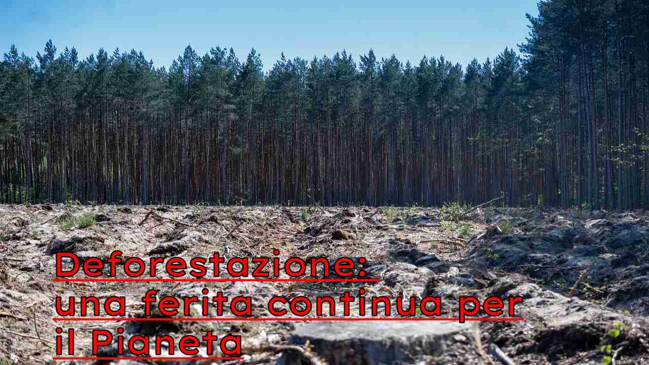 deforestazione minaccia pianeta