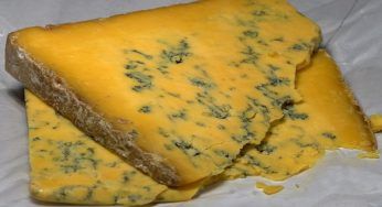 Formaggio ammuffito, il trucchetto per evitare l’inconveniente è questo