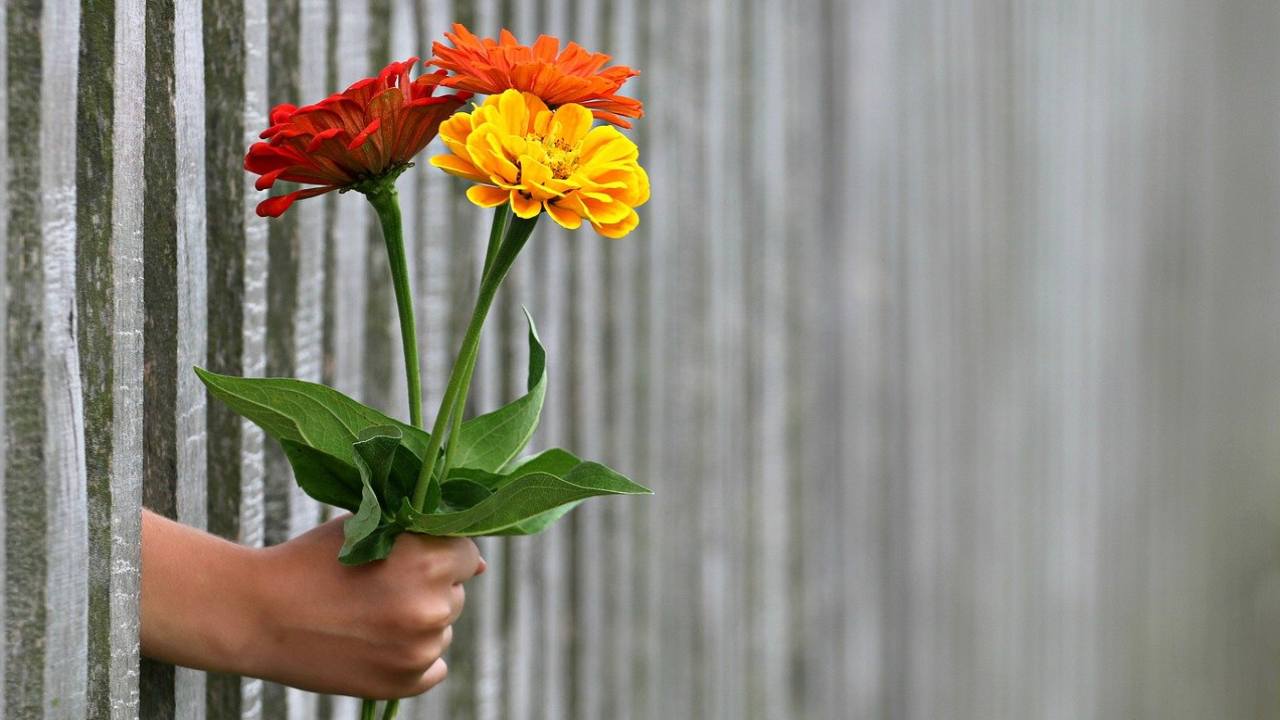 mazzo fiori colorati regalo espperti