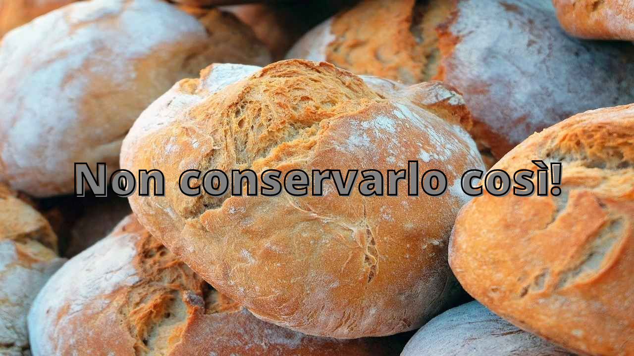 Pane conservazione pagnotte