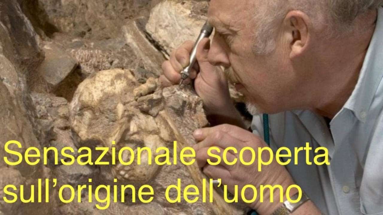 origine uomo nuova datazione