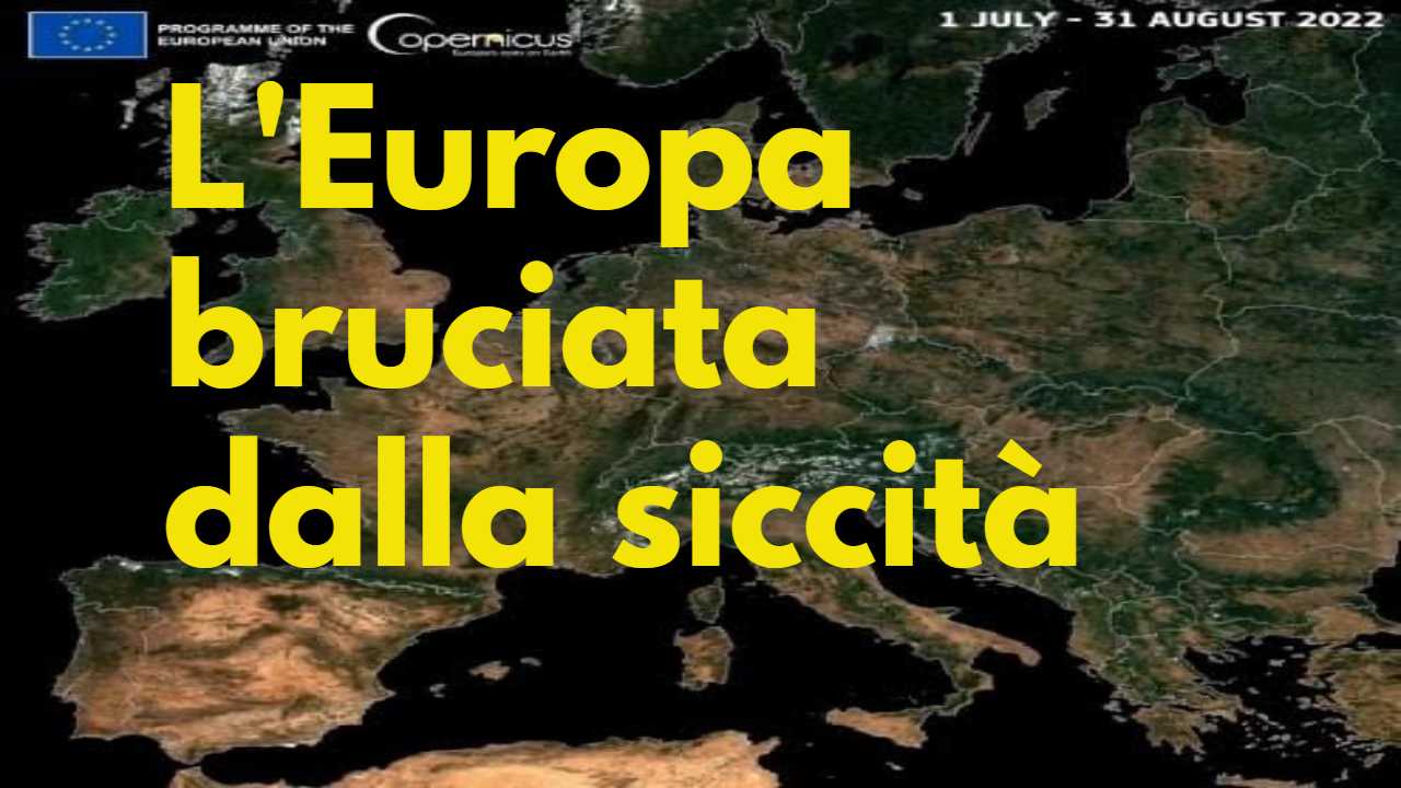 europa bruciata effetti siccità