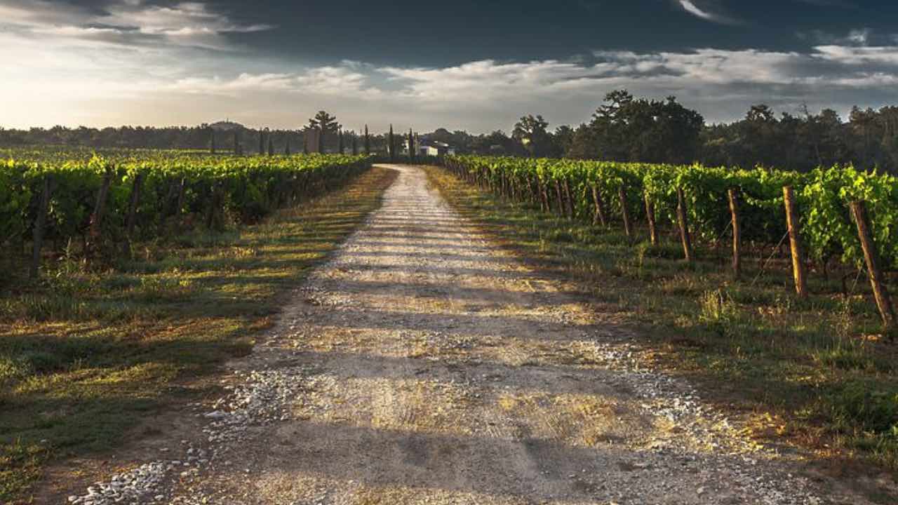 strada svolta agricoltura