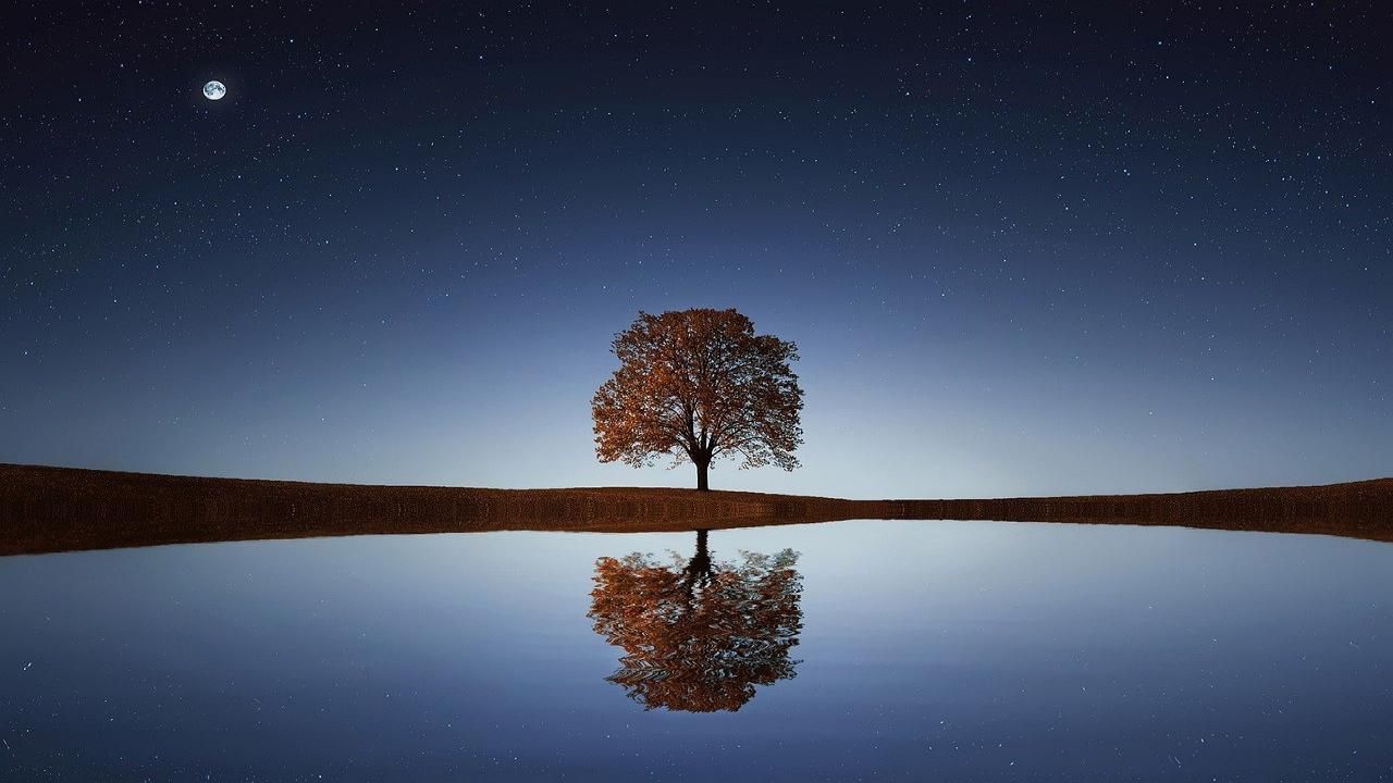 Alberi estinzione stelle