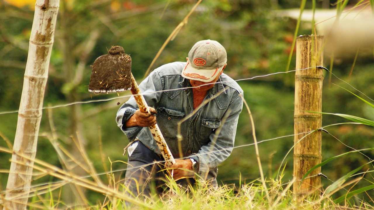 pagamento disoccupazione agricola