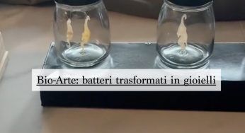 Crea gioielli dai batteri, Chloe Fitzpatrick conquista il mondo
