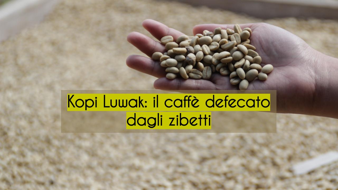 Kopi Luwak zibetti