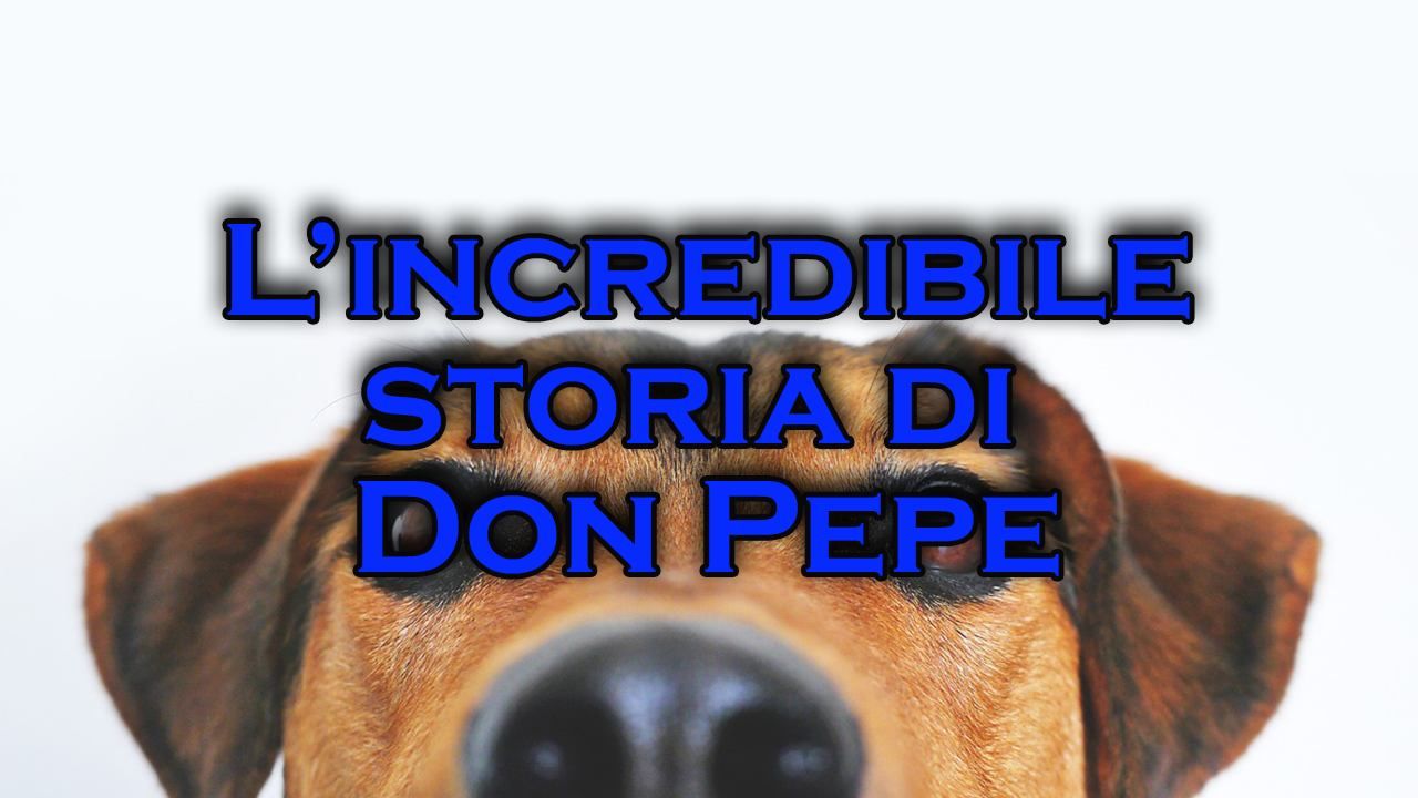 perché don pepe lingua di fuori