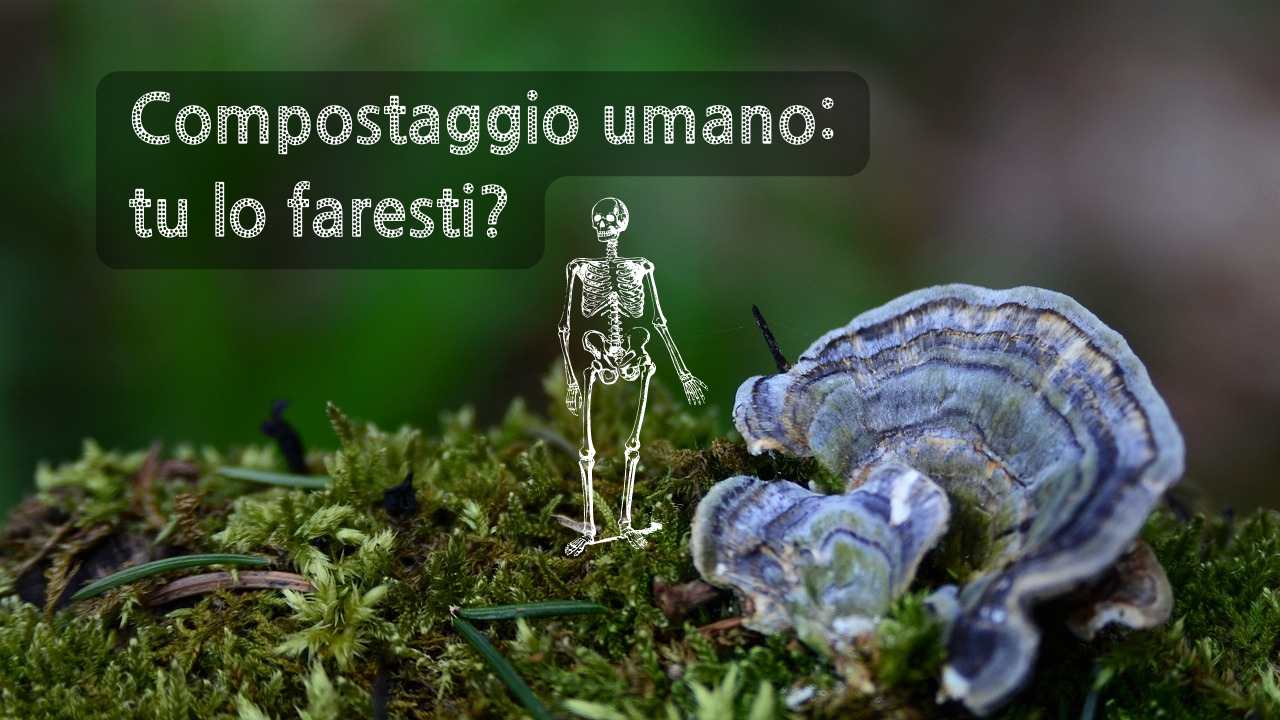 compostaggio umano scheletro