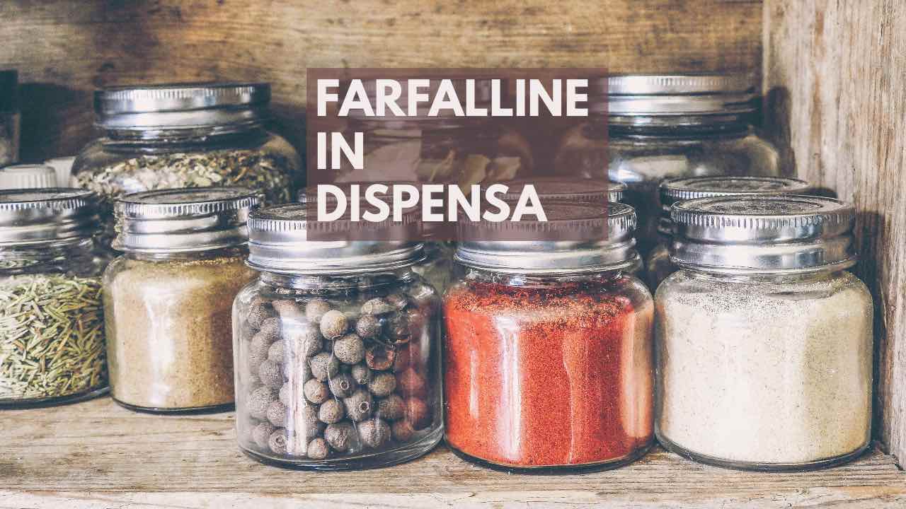 farfalle dispensa cosa fare