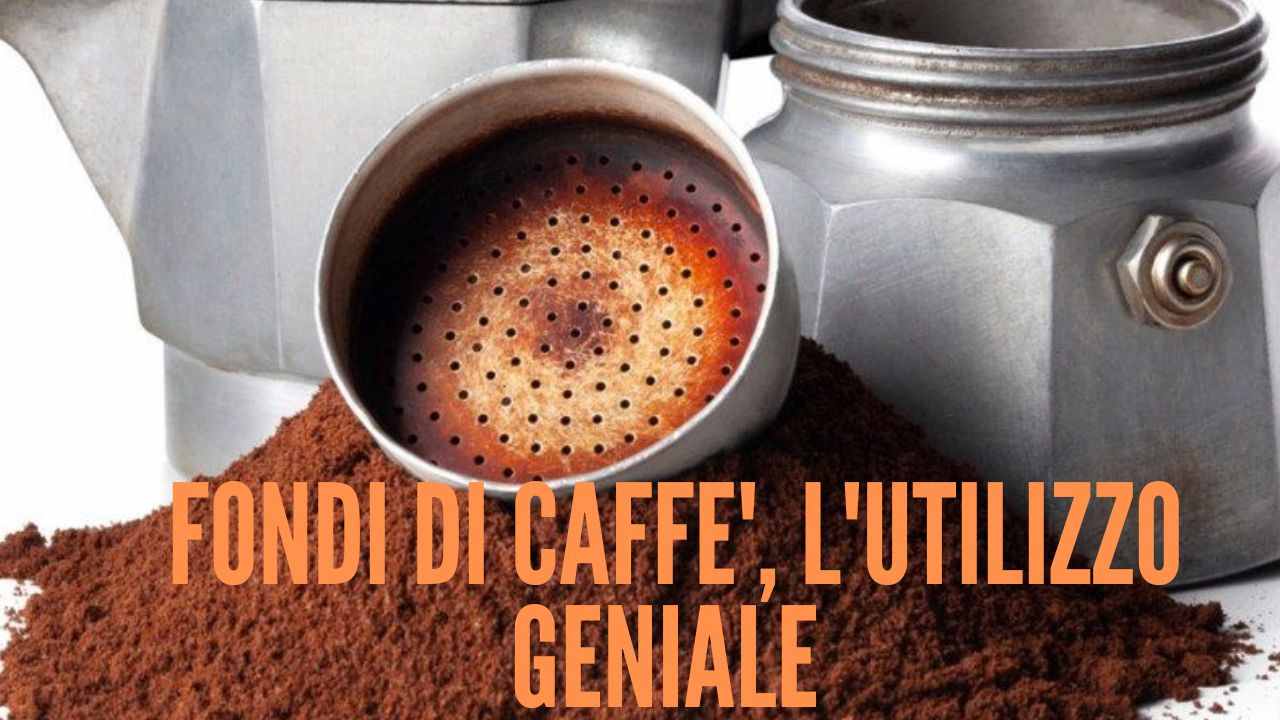 Fondi caffè lettura