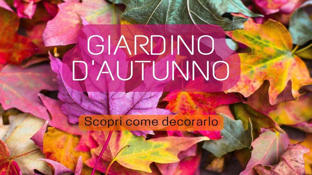 Giardino autunno foglie