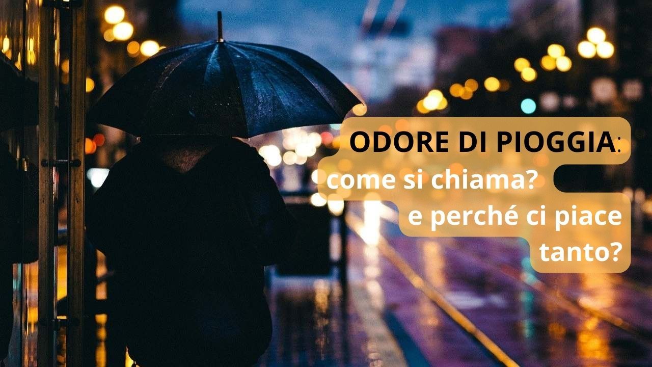 Odore pioggia nome