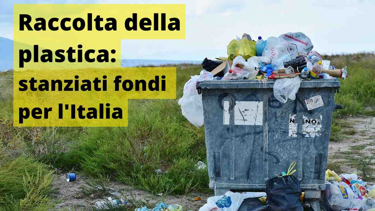 Raccolta plastica fondi