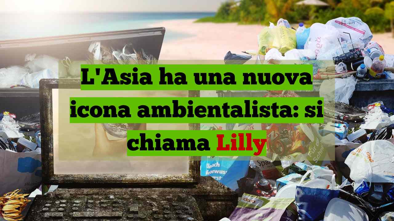 Lilly ambientalista Asia