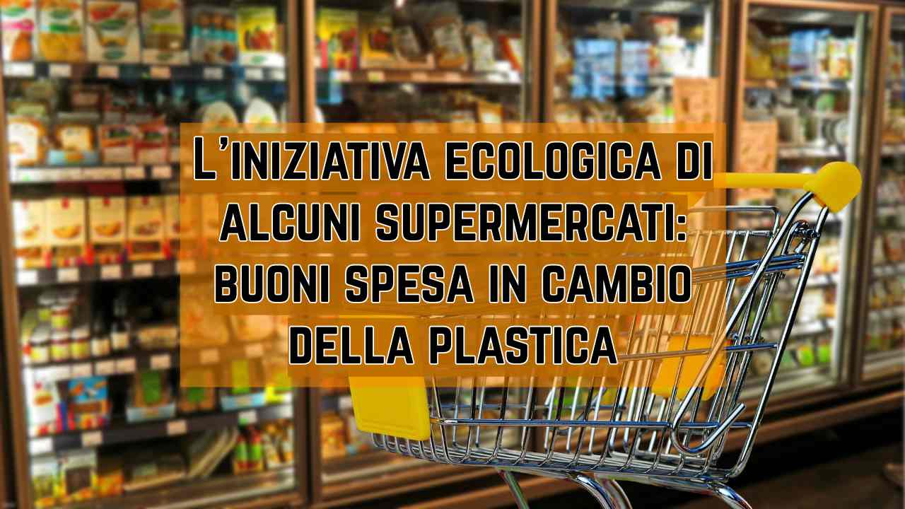 buoni spesa plastica supermercati