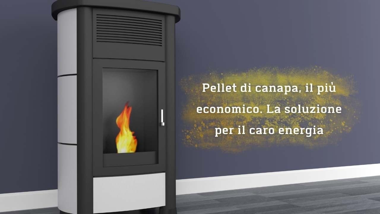 Pellet canapa economico