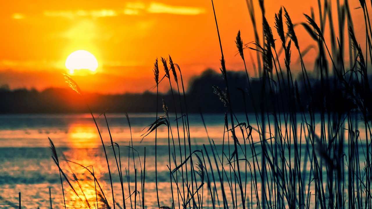 Abbracciati Tramonto cane padrone