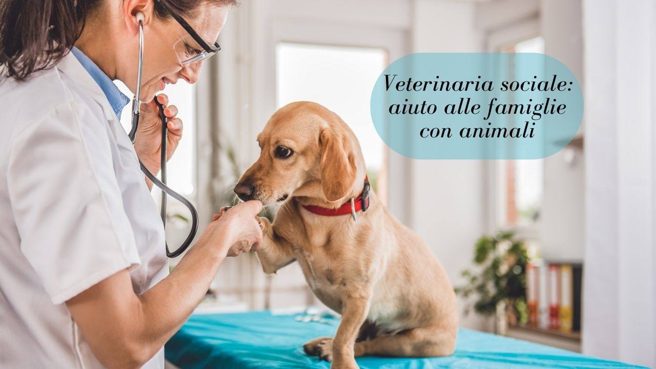 veterinaria sociale animali