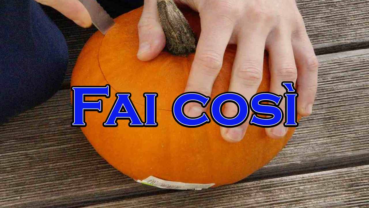 come tagliare la zucca