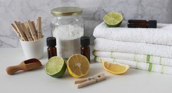 Tea tree oil, dallo spazzolino al bucato: tutti gli usi casalinghi per adoperarlo