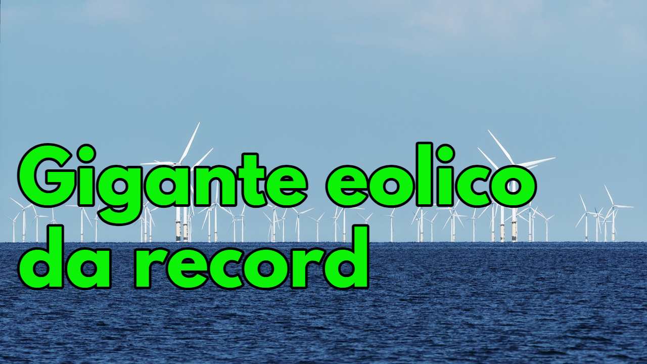 parco eolico offshore