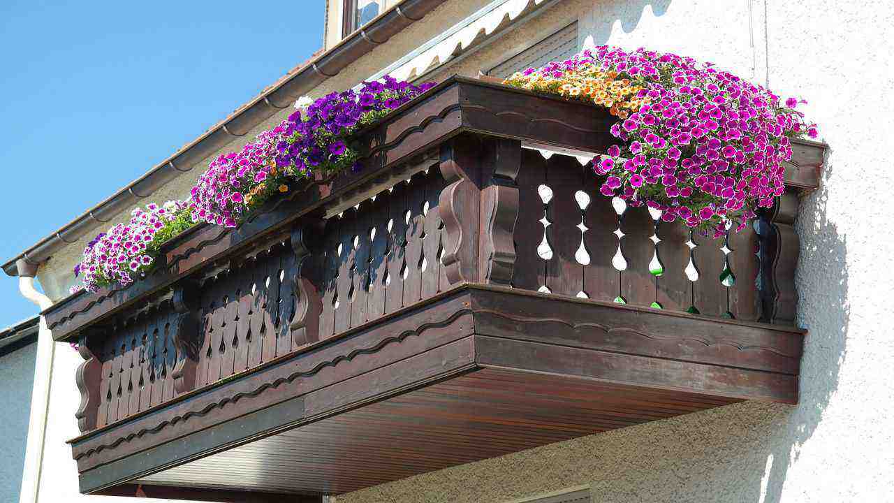 balcone fiori viola