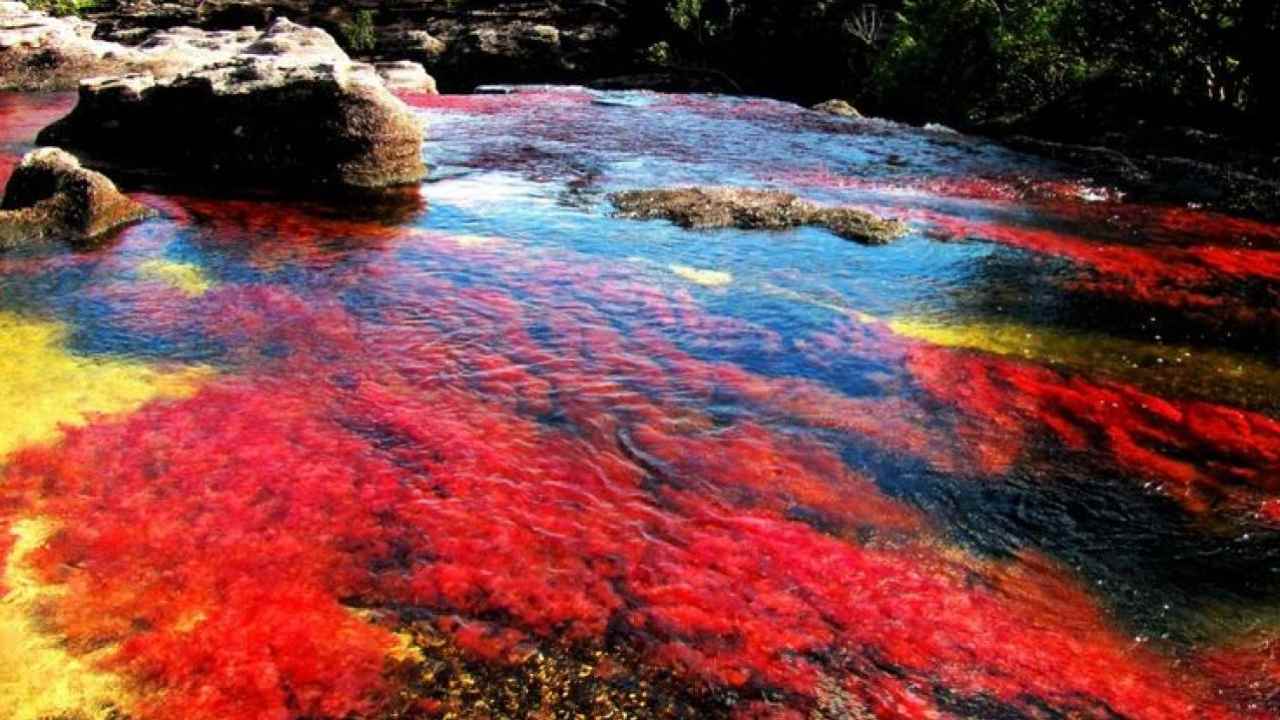 cano cristales fiume più bello mondo