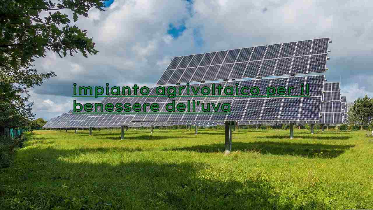 impianto fotovoltaico agricolo campi