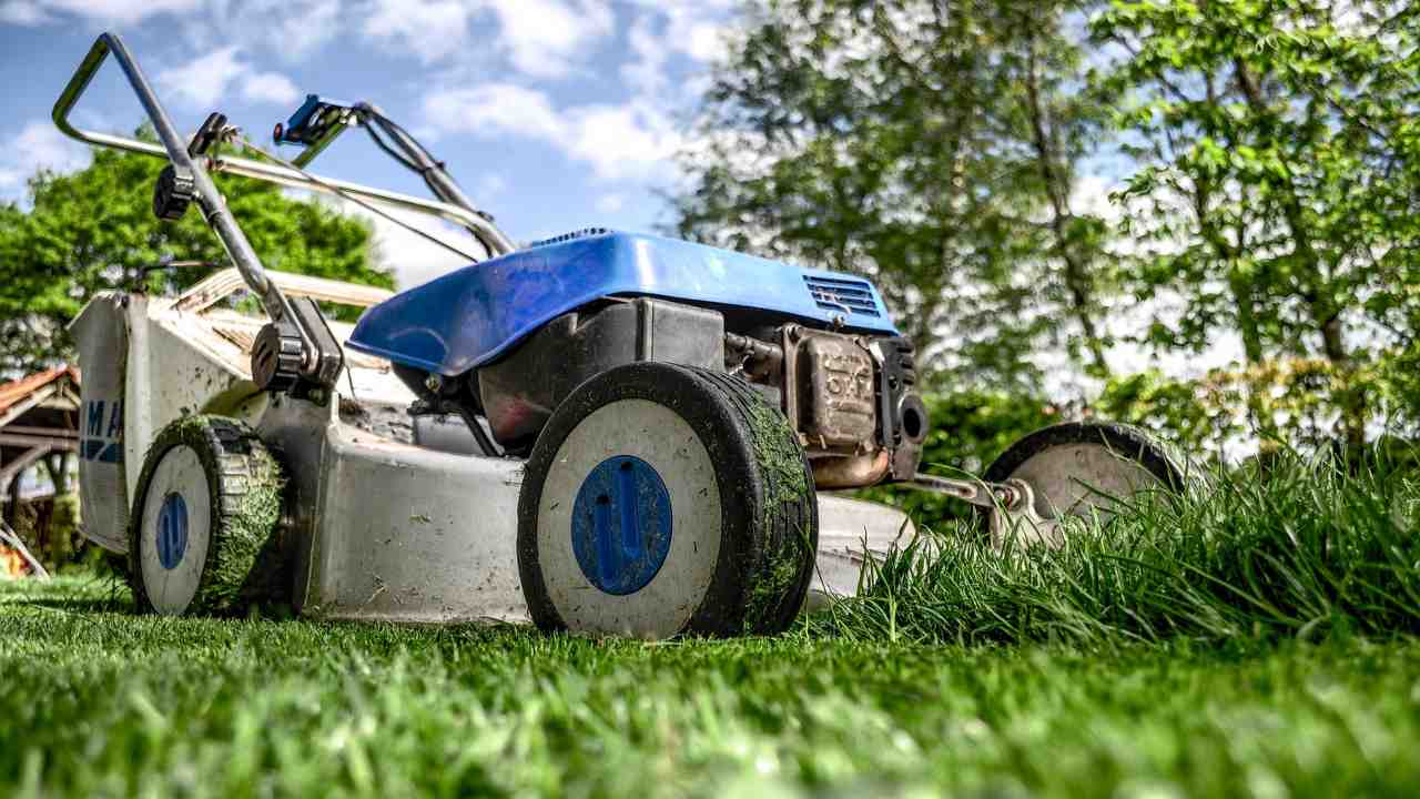 cosa c'è da sapere sul servizio di giardinaggio