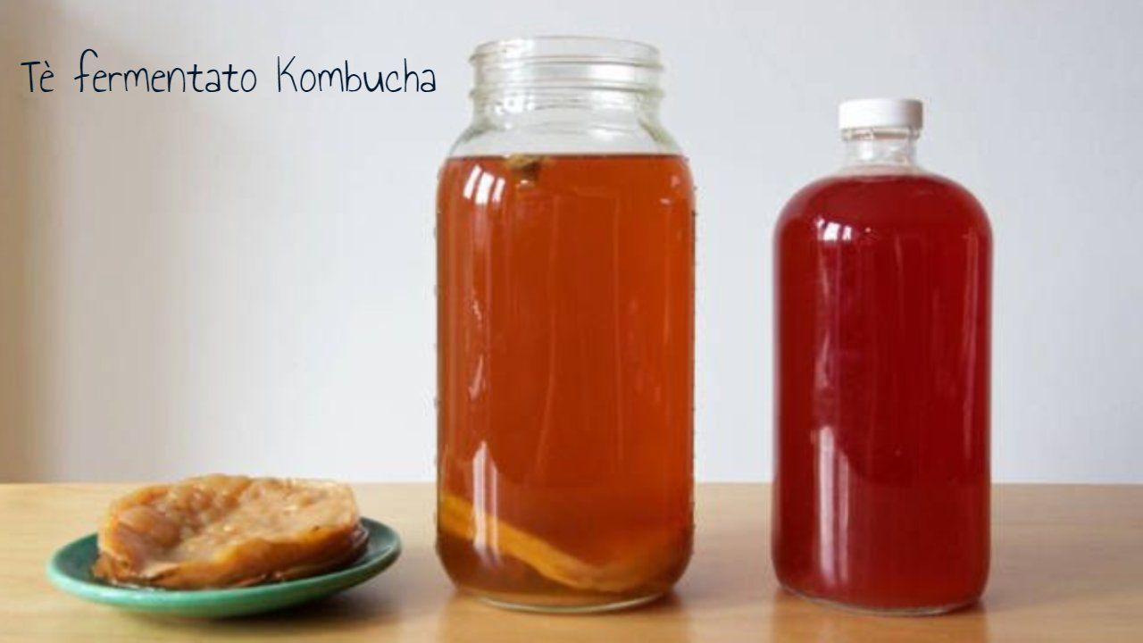 kombucha tè alleato intestino esperti