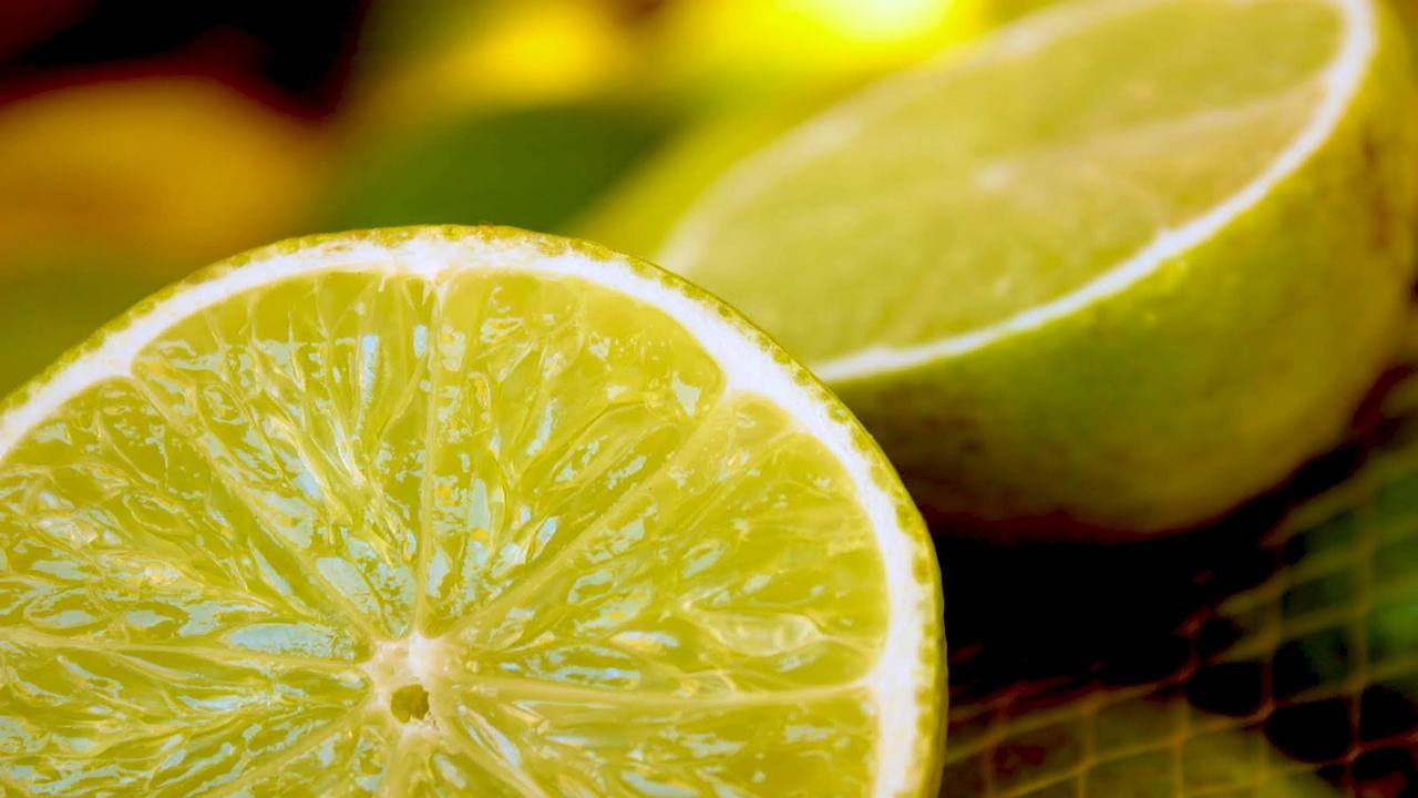 limoni coltivarli succosi buoni