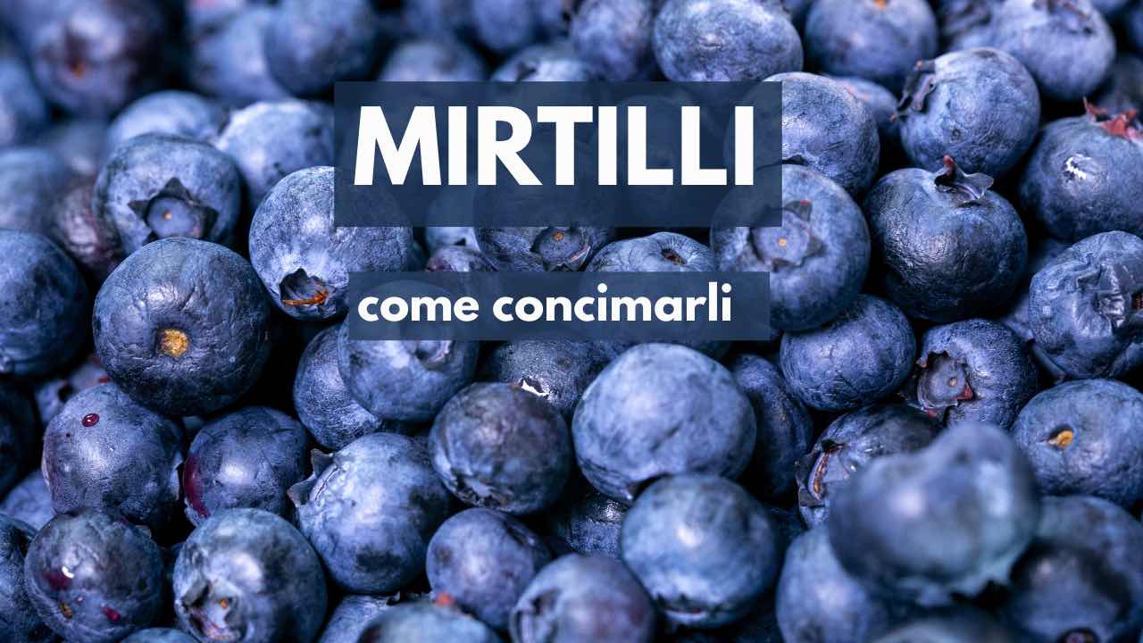 mirtillo concime adatto