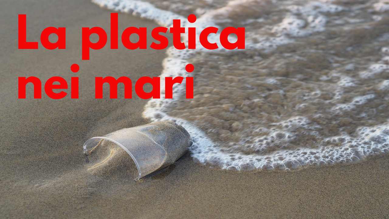 Inquinamento microplastiche mari rischio