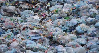 Raccolta differenziata, salta in questo paese: costa troppo