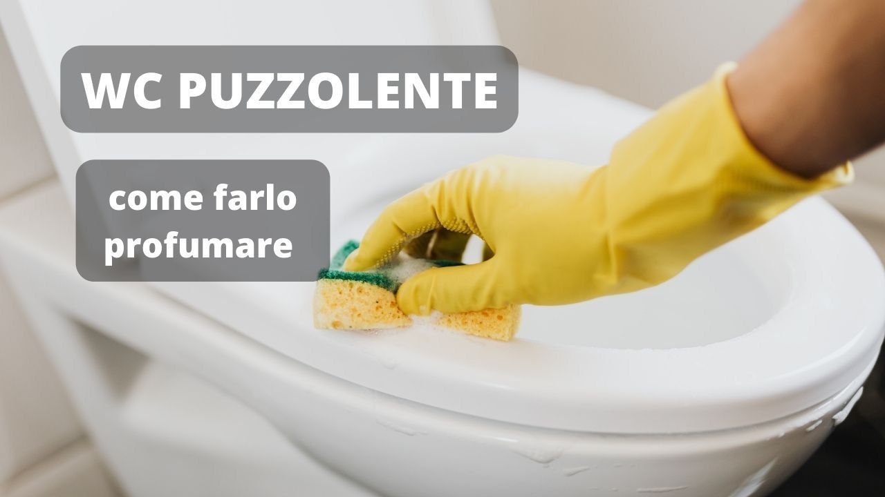 puzza wc ingrediente