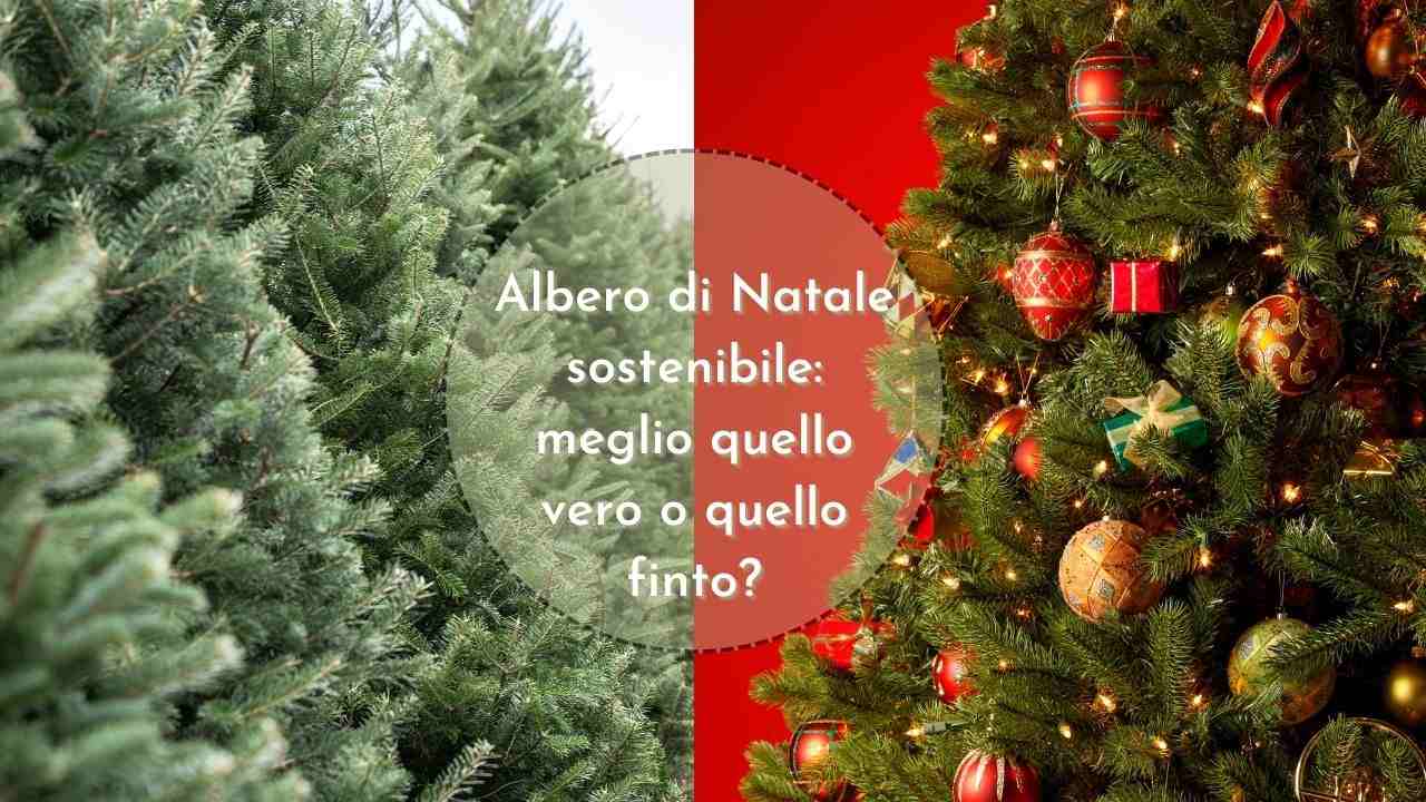 albero Natale sostenibile