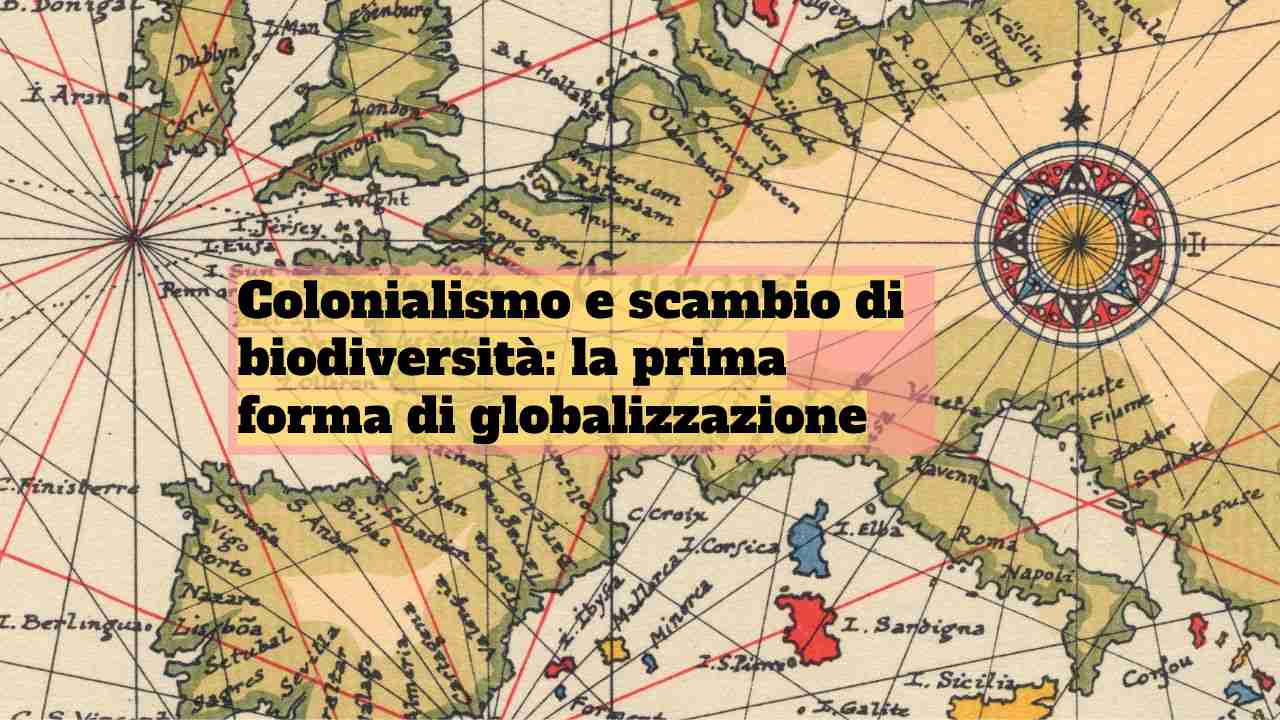 colonialismo biodiversità