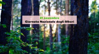Giornata Nazionale degli Alberi, come si festeggia e cosa significa