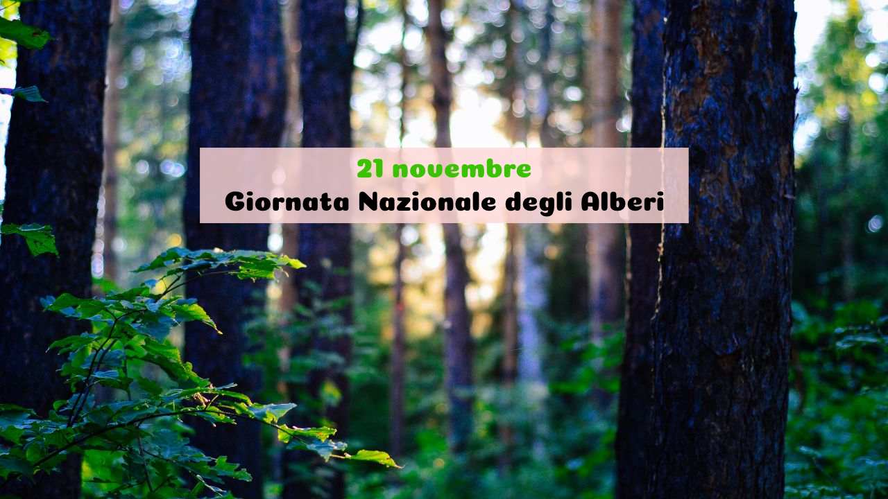 Giornata Nazionale Alberi