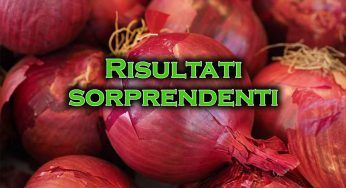 Fertilizzante con le bucce di cipolla: facile, veloce ed economico