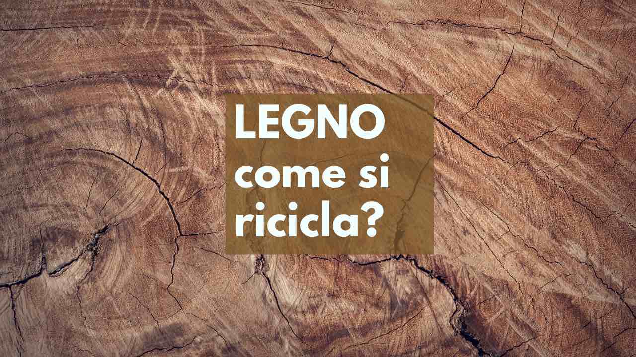 legno processo smaltimento