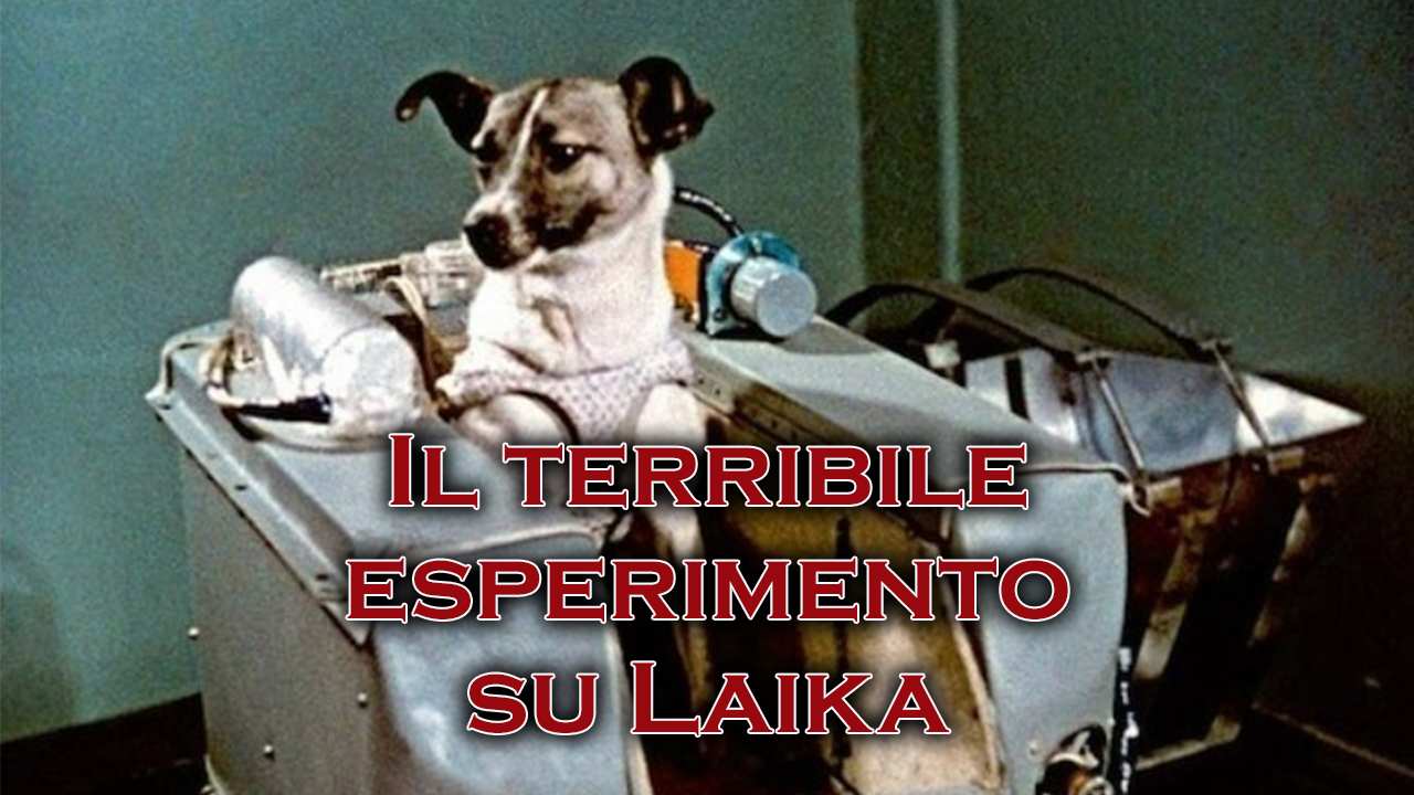 perché Laika lanciata nello spazio