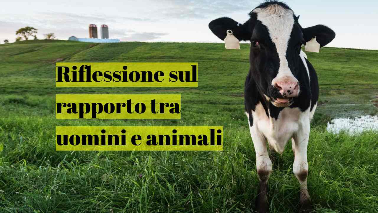 benessere animale