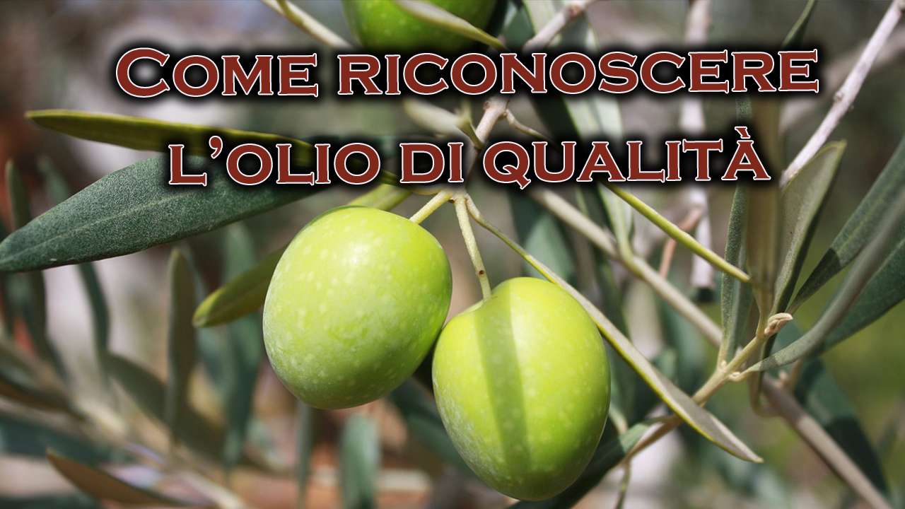 profumo e sapore olio di qualità